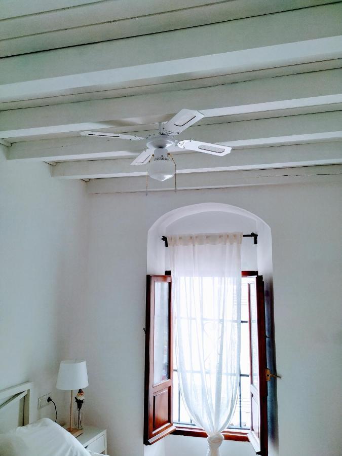 טריפה Carola Guesthouse מראה חיצוני תמונה